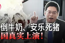 疫情冲击，为何美国宁愿倒掉11万升牛奶，也不愿送给穷人？视频封面