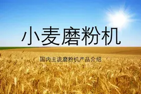 小麦磨粉机科普介绍视频封面