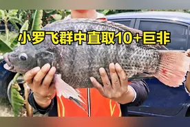 小鱼抢食饵料下不了底？一个小妙招成功避开上层的小杂鱼！视频封面