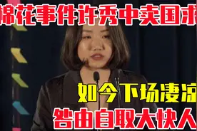 棉花事件许秀中卖国求荣，如今下场凄凉！咎由自取大快人心视频封面