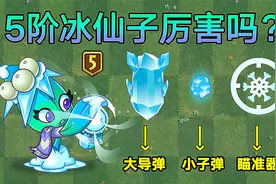植物大战僵尸：5阶冰仙子到手！伤害真的挺高！视频封面