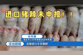 江苏海安：进口法国冷冻猪蹄未申报，执法机关紧急行动|法治天地视频封面