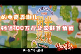 我们这十年|返乡的电商弄潮儿 线上销售100万斤公安鲜食葡萄视频封面
