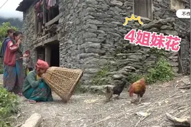 尼泊尔山区4姐妹们个个漂亮如花，爽朗幽默，一起抓鸡吃肉喝可乐视频封面