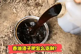 香油渣子肥怎么沤制？视频封面
