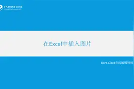 13_Spire.Cloud视频教程_在Excel中插入图片视频封面