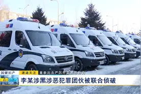 重拳出击严厉打击黑恶势力：李某涉黑涉恶犯罪团伙被联合侦破视频封面