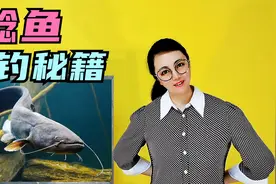 吃口猛，力气大，钓鲶鱼技巧！4大钓点，6大钓法，2个注意事项！视频封面