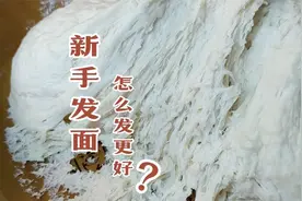 新手怎么发出好发面？面点师教你基本技巧，发面快又容易揉视频封面