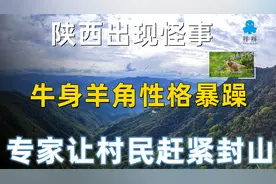 陕西出现怪事，牛身羊角性格暴躁，专家让村民赶紧封山视频封面