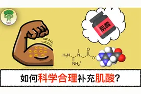 肌酸：什么是肌酸?如何科学合理补充肌酸？基于国际运动营养学会视频封面