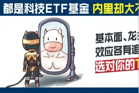 都是科技ETF内里大不同！基本面、龙头效应各有追求，选对你的TA视频封面