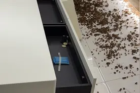 我的京东维权之路