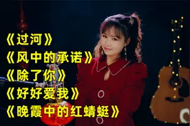 520经典情歌《晚霞中的红蜻蜓》《过河》《除了你》《好好爱我》