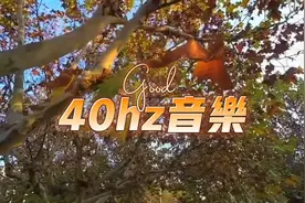麻省理工学院：40Hz音乐减少脑β淀粉样蛋白和脑萎缩，每天1小时视频封面