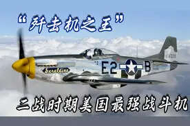 二战歼击机之王：P51野马战斗机，二战时期美军最强战机视频封面