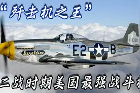 二战歼击机之王：P51野马战斗机，二战时期美军最强战机视频封面