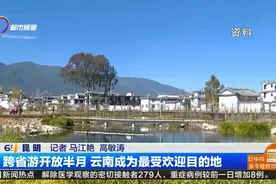 跨省游开放半月 云南成为最受欢迎目的地视频封面