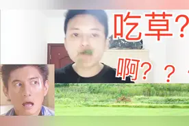 吃土？这辈子都不可能的！吃草倒是可以！