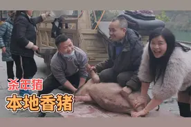 老表叫去帮忙杀年猪，100斤的本地香猪，肉质好，吃泡汤真过瘾视频封面