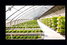 位于江苏宿迁的江苏绿港现代农业发展有限公司！视频封面