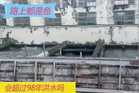 看看湖北潜江到底被水淹的多严重，虾塘被淹，排水闸就没停过视频封面