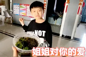 姐姐从武功山给弟弟带盒礼物，弟弟吓的直后退，小狗一脚把盒踢翻视频封面