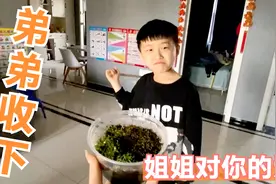 姐姐从武功山给弟弟带盒礼物，弟弟吓的直后退，小狗一脚把盒踢翻视频封面