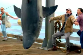 男子捕获一条大鲨鱼，正兴奋不已时，谁料鲨鱼嘴里竟吐出“活物”视频封面