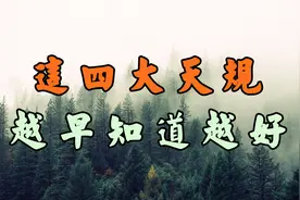人生的4大天规，越早知道的人，福气只会越来越深视频封面