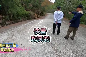 惠州三门岛的环岛路上，突然一条吹风蛇横跨马路，吓死我们了
