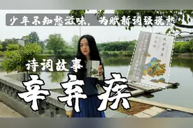 辛弃疾为去世儿子铁柱写的词？少年不识愁滋味，何谓愁滋味？泪目视频封面
