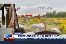 上海野生动物园熊伤人致1人死亡 事发区域为车辆驶入的参观区域视频封面