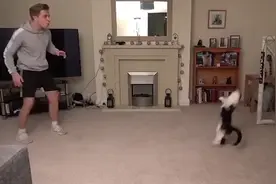 猫如其名!德国守门猫 “诺伊尔”复刻“臀新”神迹，迅速蹿红网络