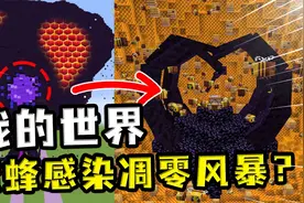 我的世界：蜜蜂寄生凋零风暴？趁凋零风暴不备，夺取了凋零身体视频封面