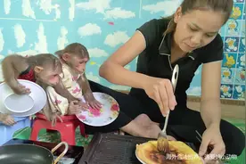 猴子在女孩家里变成了萌宠，每天要吃鸡蛋饼，猴子原来还吃鸡蛋视频封面