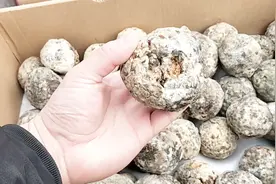 10元3个的“渣酱”是什么？农村父亲吃的美味，小伙吃一口受不了视频封面