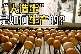 “人造蛋”真的存在吗？它是如何生产出来的？视频记录生产全程视频封面