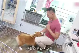 香港帅哥成为亚洲最佳训犬师，看他如何训服一只见人就咬的恶狗视频封面
