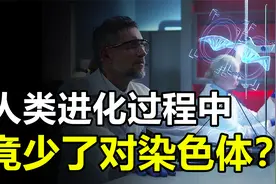 人类进化过程中，竟少了一对染色体，它们究竟去哪儿了？视频封面