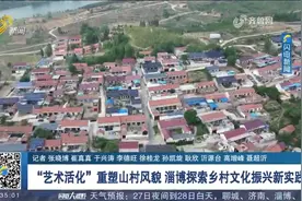 “艺术活化”重塑山村风貌！在淄博，小乡村也有“文艺范儿”视频封面