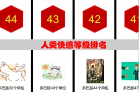 人类的快感等级排名视频封面