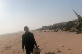 分享野生海蛎子的肥瘦以及海蛎子的生长环境#赶海#海鲜