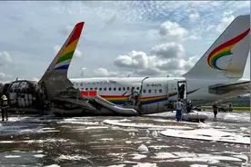 西藏航空一客机偏出跑道后发动机擦地起火，36人撤离时受伤视频封面