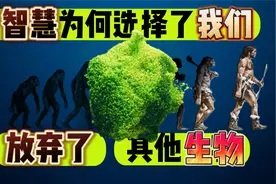 为何只有人类产生智慧和文明，其他物种都很弱 都不行吗？视频封面