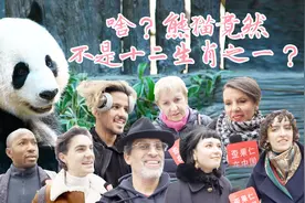 啥？！熊猫竟然不是十二生肖之一？视频封面