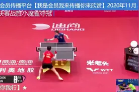 陈梦 vs 孙颖莎 2020年11月女子世界杯决赛【上集十下集】完整版视频封面