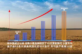 小麦产量占据全国的四分之一，中国人每吃4个馒头就有1个来自河南