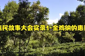 惠民故事大会实录1-金鸡纳的惠民视频封面