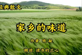 经典散文《家乡的味道》，作者铁凝，鸟语花香的日子赶快回来视频封面